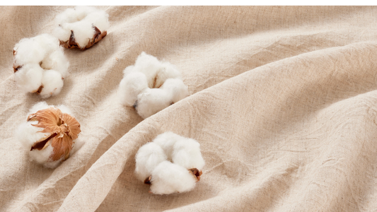 Cotton fabric with cotton buds