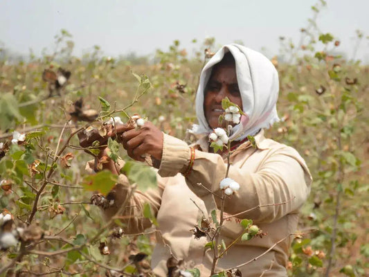 Why Does Organic Cotton Underwear Cost More Than a Jockey Three-Pack? An Honest Breakdown